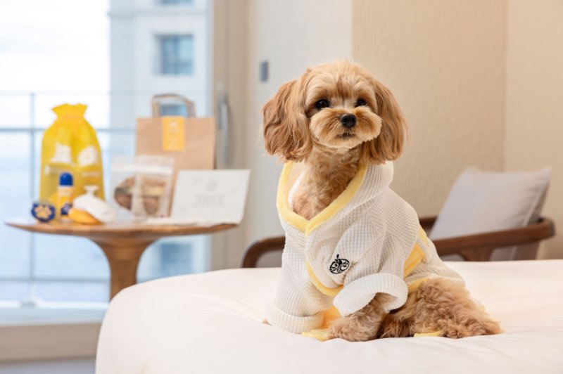 카시아 속초 '포펙트 겟어웨이' 패키지 이미지 카시아 속초 제공