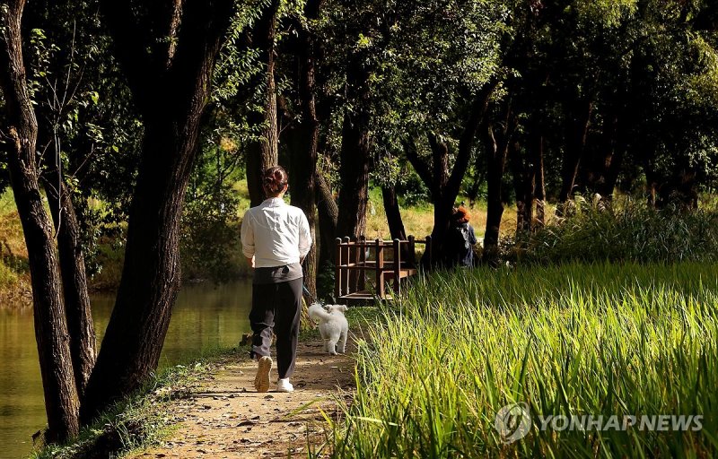 가을 산책 (출처=연합뉴스)