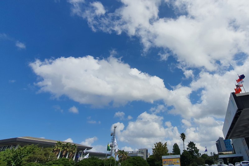 [제주=뉴시스]우장호 기자 = 제주시 연동 하늘에 고래 형상을 한 구름이 나타나 시선을 사로잡고 있다. (사진=뉴시스DB) woo1223@newsis.com