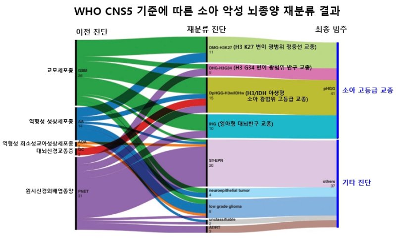 [서울=뉴시스] WHO CNS5 기준에 따른 소아 악성 뇌종양 재분류 결과. (사진= 서울대병원 제공)