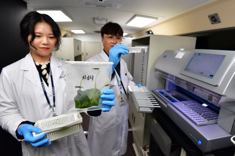 식품의약품안전처 직원들이 23일 APEC 2025 정상회의 만찬장이 마련된 라한셀렉트 경주에서 '식중독 신속 검사 버스'를 투입해 식재료를 검사하고 있다. 2025.10.23/뉴스1 ⓒ News1 최창호 기자