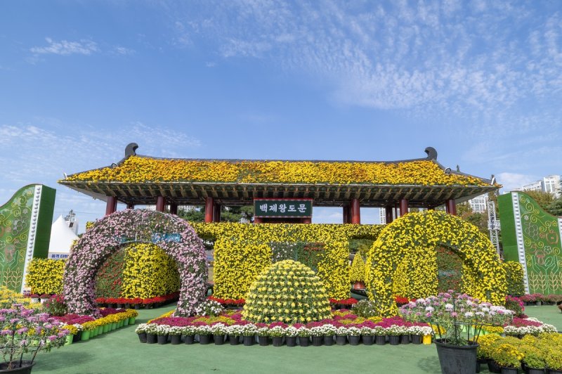 익산 천만송이 국화축제 개막 (출처=연합뉴스)