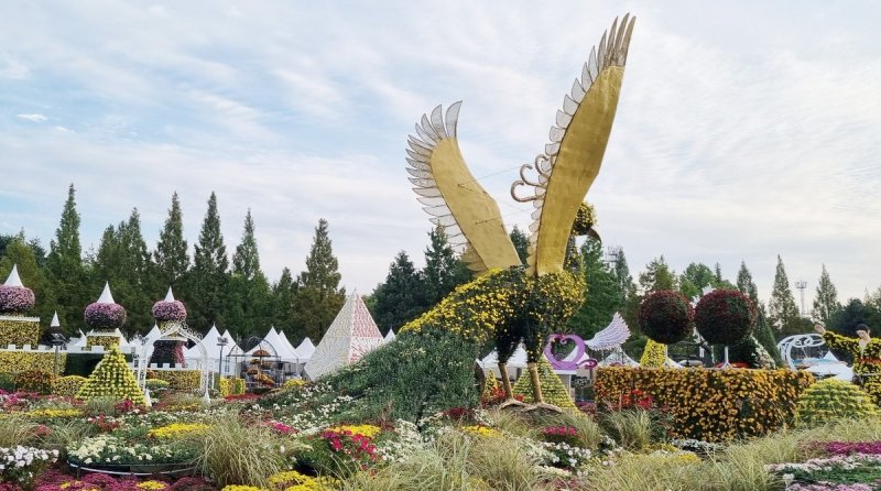 익산 천만송이 국화축제 조형물 (출처=연합뉴스)