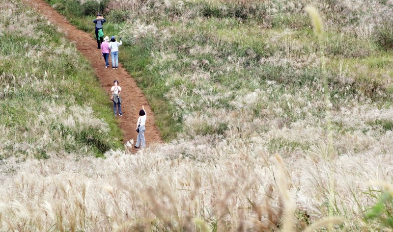 자료사진.ⓒ News1