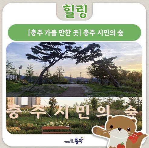 충주시민의 숲 (출처=연합뉴스)