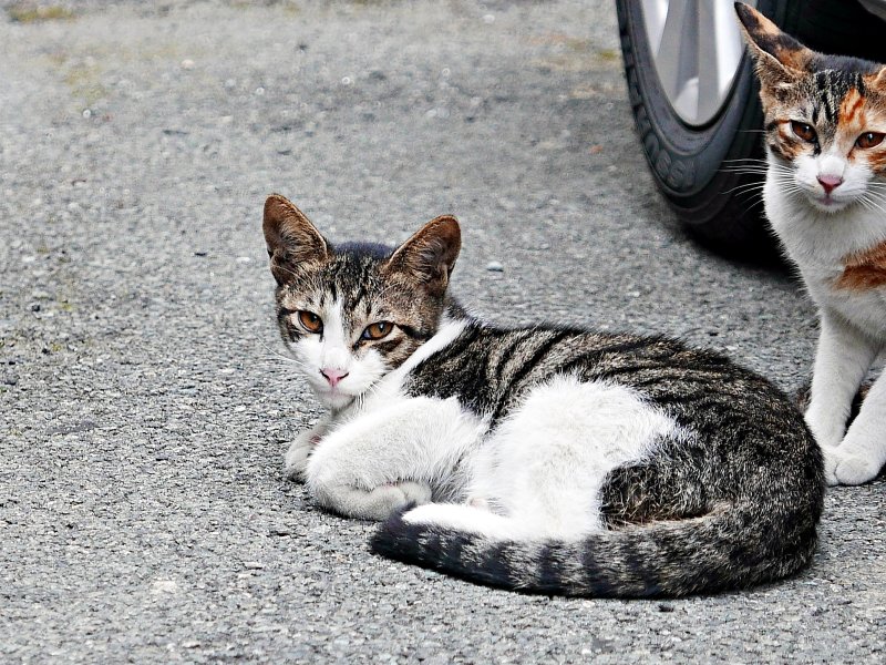 [뉴시스] 기사의 이해를 돕기 위한 이미지. (사진=유토이미지). *재판매 및 DB 금지 *재판매 및 DB 금지