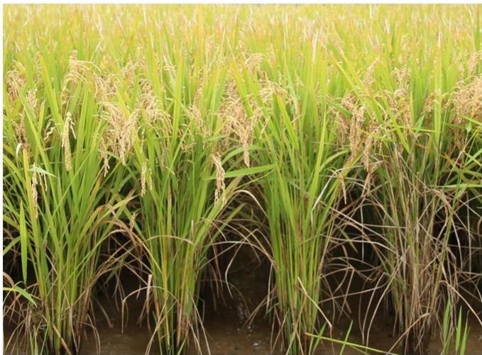 [세종=뉴시스] 사진은 기사 내용과 관련 없음.(사진=뉴시스 DB) *재판매 및 DB 금지