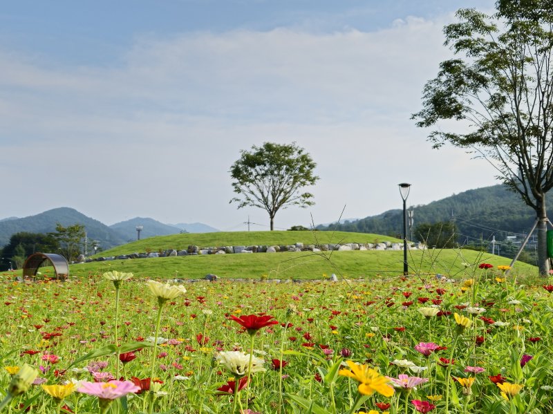 [안성=뉴시스] 금광호수 수석정 전경 (사진=안성시 제공) 2025.10,.24.photo@newsis.com