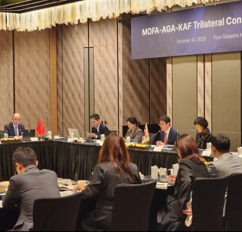 외교부-주한아프리카 대사단(AGA)-한·아프리카재단 3자 간담회 (출처=연합뉴스)