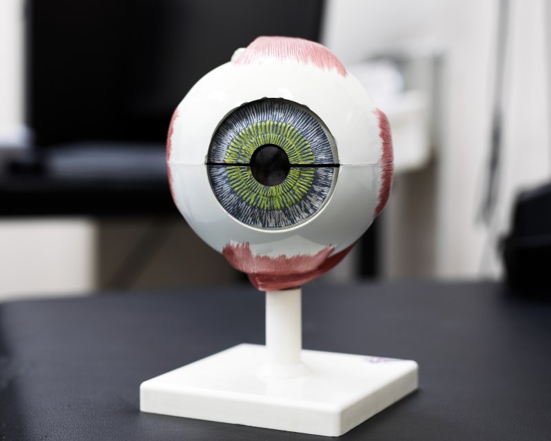 안과 질환 황반변성 치료제 '아일리아'의 미국 바이오시밀러(바이오의약품 복제약) 시장이 특허 소송에 휩싸인 가운데 셀트리온은 합의, 삼성바이오에피스는 소송을 유지하고 있다. 뉴시스