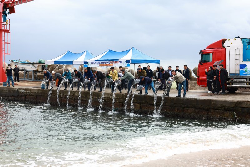 [울진=뉴시스] 안병철 기자 = 지난 23일 경북 울진군 울진읍 양정항에서 강도다리 치어 24만 마리를 방류하고 있다.(사진=울진군 제공) 2025.10.24. photo@newsis.com