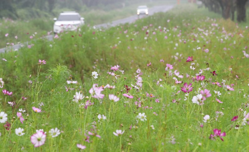 자료사진. ⓒ News1