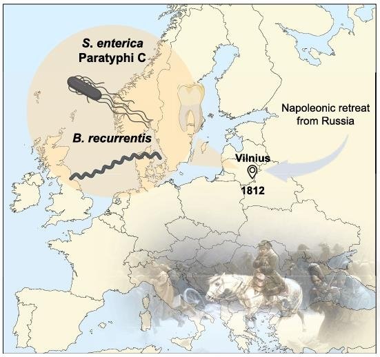나폴레옹 군대 몰락 초래한 전염병은 '장티푸스성 열과 재귀열' (출처=연합뉴스)