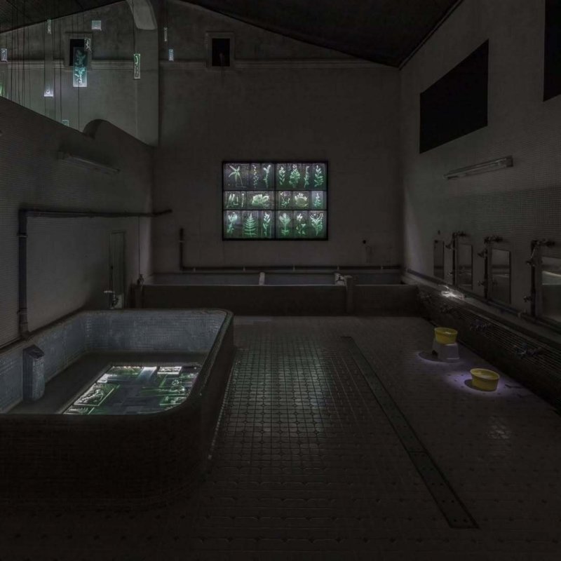 일본 '아이치 트리엔날레'에 전시된 유리작가 사사키 루이의 설치작품 '잊히지 않는 존재' ⓒ 뉴스1