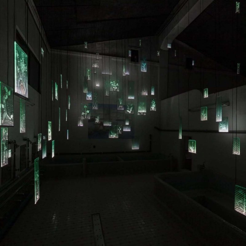 일본 '아이치 트리엔날레'에 전시된 유리작가 사사키 루이의 설치작품 '잊히지 않는 존재' ⓒ 뉴스1