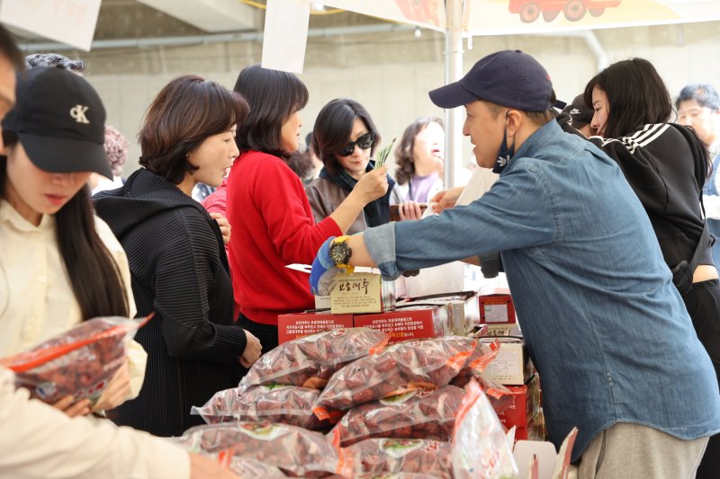보은대추축제 판매장을 찾은 관광객들이 대추를 구입하고 있다. (보은군 제공. 재판매 및 DB금지) /뉴스1