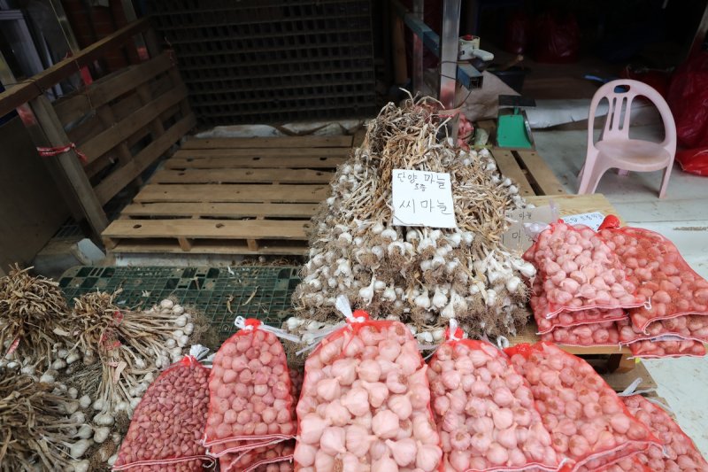 구경시장에서 판매되는 토종 단양 씨 마늘 (출처=연합뉴스)