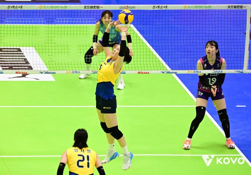 현대건설 시절 세터로 토스하는 이나연(중앙) (출처=연합뉴스)