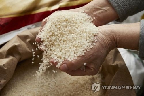 이천쌀 (출처=연합뉴스)