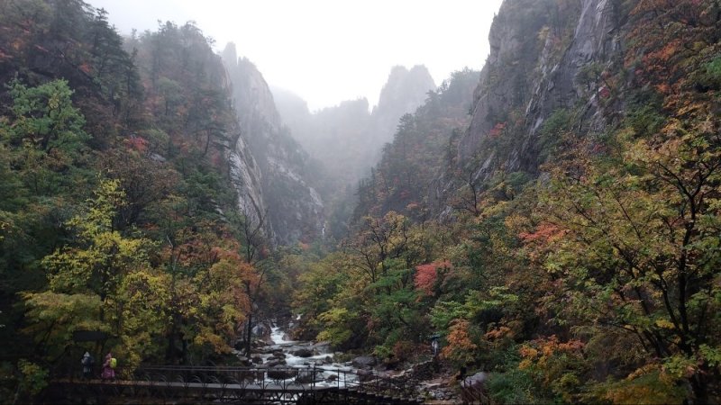 [속초=뉴시스] 지난 16일 설악산 양폭대피소 단풍 모습. 양폭대피소는 설악산 해발 715m에 있다.(사진=기상청 제공)photo@newsis.com *재판매 및 DB 금지