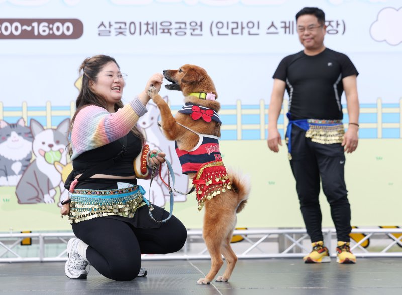 [서울=뉴시스] 김진아 기자 = 25일 서울 성동구 살곶이체육공원 인라인스케이트장에서 열린 제3회 성동구 반려동물 축제 '성동에서 놀다가개'에서 반려가족 펫션쇼에 참가한 반려견들이 장기자랑을 선보이고 있다. 행사는 반려가족 패션쇼, 강아지 안고 림보, 반려견 운동회 등 보호자와 반려견이 함께 즐길 수 있는 다채로운 프로그램을 마련했다. 또 부대행사로 유기동물 입양 홍보, 1:1 반려견 건강 및 행동 상담, 기초 위생·미용 등 홍보, 참여, 체험마당이 운영된다.2025.10.25. bluesoda@newsis.com