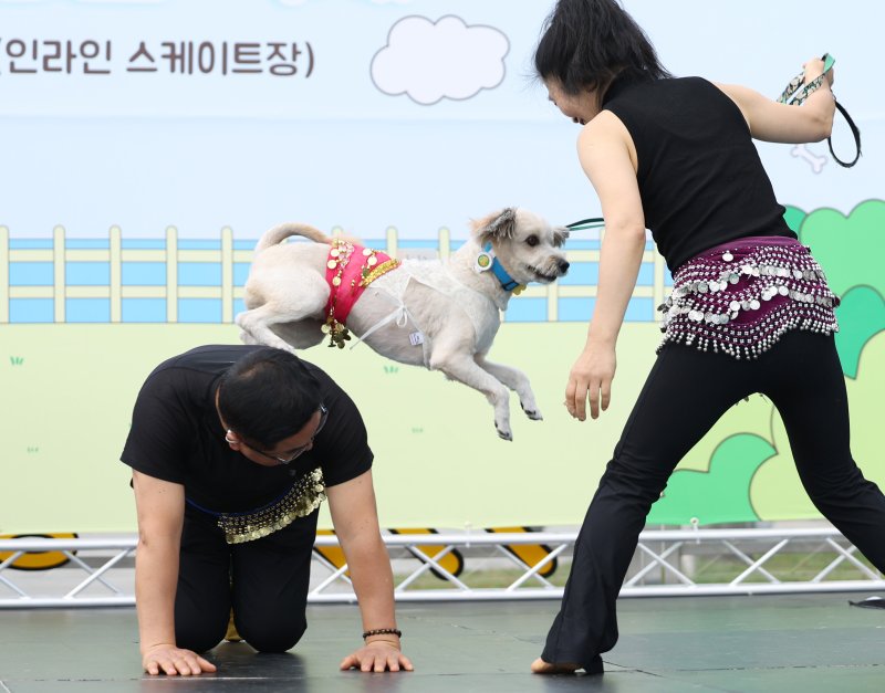 [서울=뉴시스] 김진아 기자 = 25일 서울 성동구 살곶이체육공원 인라인스케이트장에서 열린 제3회 성동구 반려동물 축제 '성동에서 놀다가개'에서 반려가족 펫션쇼에 참가한 반려견들이 장기자랑을 선보이고 있다. 행사는 반려가족 패션쇼, 강아지 안고 림보, 반려견 운동회 등 보호자와 반려견이 함께 즐길 수 있는 다채로운 프로그램을 마련했다. 또 부대행사로 유기동물 입양 홍보, 1:1 반려견 건강 및 행동 상담, 기초 위생·미용 등 홍보, 참여, 체험마당이 운영된다.2025.10.25. bluesoda@newsis.com