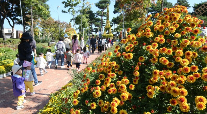 26일 대전·충남은 오후에 가끔 비가 내리는 곳이 있을 것으로 예보됐다. 대전 유성구 유림공원 일대에서 열린 유성국화축제장에서 나들이 나온 시민들이 가을을 즐기고 있다. /뉴스1 ⓒ News1 김기태 기자