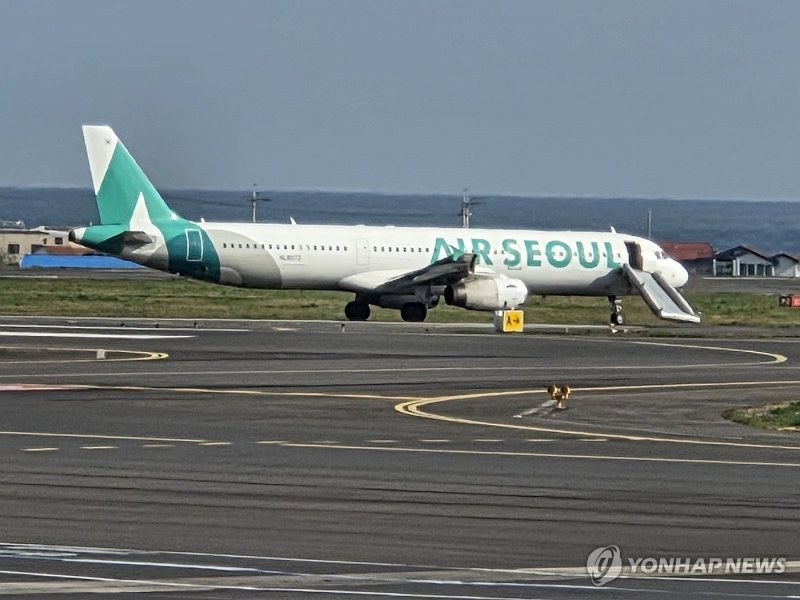 비상문 개방으로 에어슬라이드가 펼쳐져 멈춰 선 에어서울 항공기 (출처=연합뉴스)