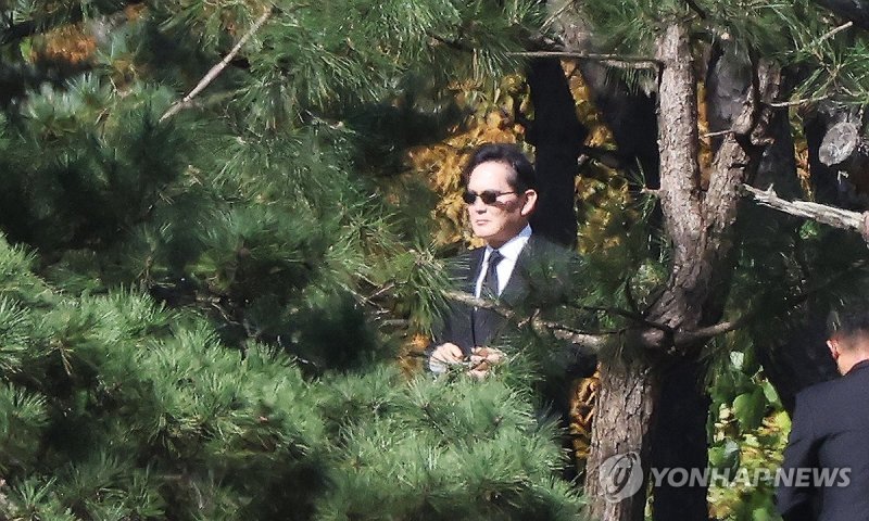 고 이건희 회장 선영 찾은 이재용 회장 (출처=연합뉴스)