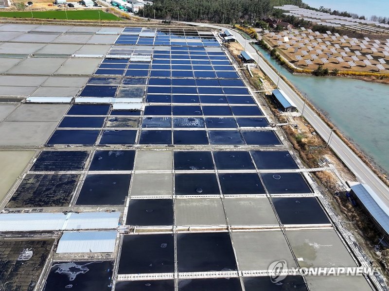 美 수출길 막힌 태평염전 (출처=연합뉴스)