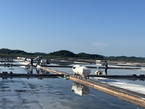 신안 증도 태평염전 (출처=연합뉴스)