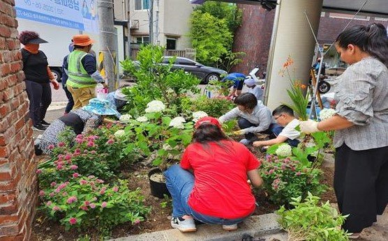 [제주=뉴시스] 제주시 남성마을 주민들이 지난 6월14일 마을정원 만들기 사업으로 '벨롱벨롱한 별빛정원'을 조성하고 있다. (사진=제주도 제공) 2025.10.26. photo@newsis.com *재판매 및 DB 금지