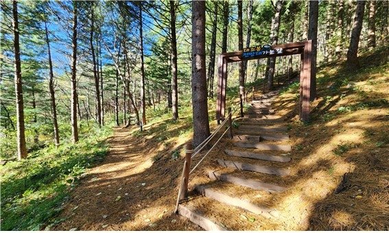 태백시 산림휴양도시 추진 (출처=연합뉴스)