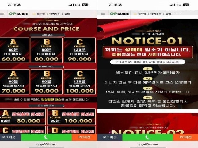 서울경찰청 풍속범죄수사팀, 출장마사지 위장해 성매매 알선한 34명 검거 (출처=연합뉴스)