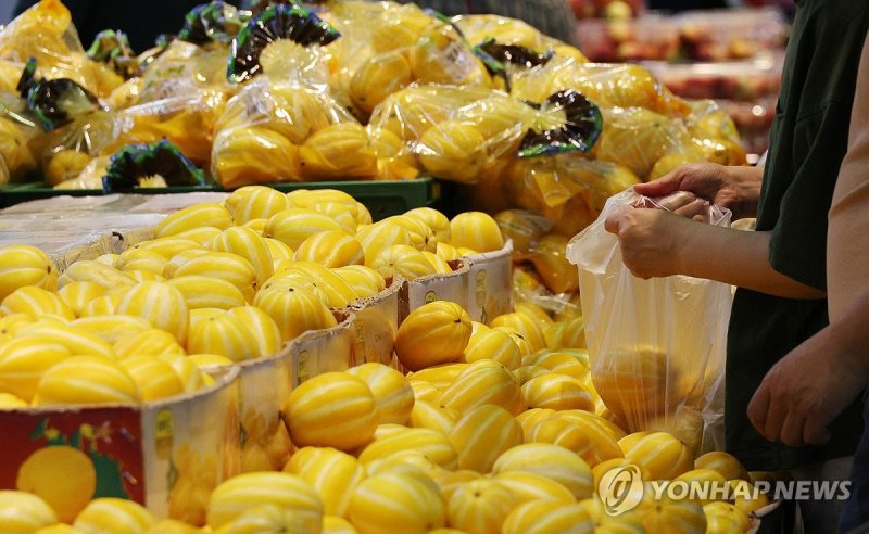 국산 참외 수출 검역요건 완화…호주시장 진출 탄력 (출처=연합뉴스)