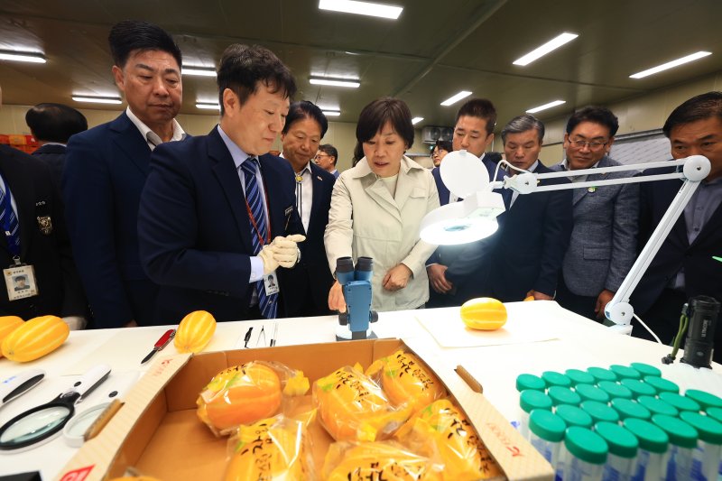 [세종=뉴시스] 송미령 농림축산식품부 장관은 7일 경북 성주군 소재 월항농협 산지유통센터(APC) 내 수출 선과장을 찾아 참외 수출 검역 현장을 점검했다. (사진 = 농식품부 제공) 2025.05.07.