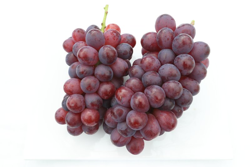 [세종=뉴시스] 홍주씨들리스. (사진 = 농촌진흥청 제공) 2025.10.15. *재판매 및 DB 금지