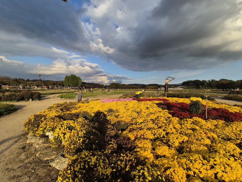 오는 27일부터 11월 1일까지 열리는 ‘2025 아시아태평양경제협력체(APEC) 정상회의’를 앞두고 세계유산 경주역사유적지구에 있는 첨성대 일원은 문화예술 첨담기술이 융합된 축제장으로 변모했다. ⓒ News1 김대벽기자