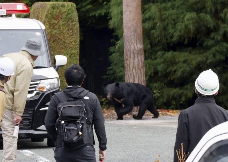 마을 습격 곰에 日 피해 급증…6개월여간 172명 사상 (출처=연합뉴스)