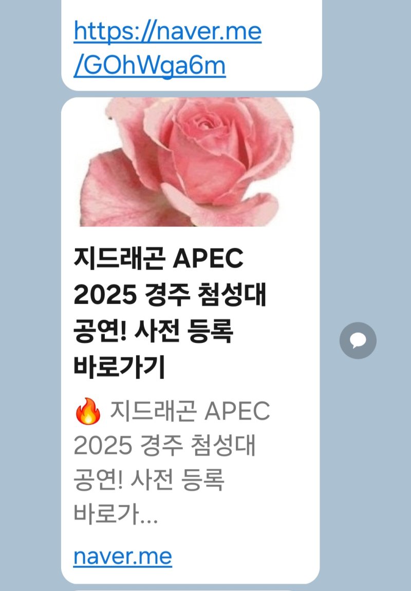 '지드래곤 APEC 첨성대 공연, 허위 게시물'