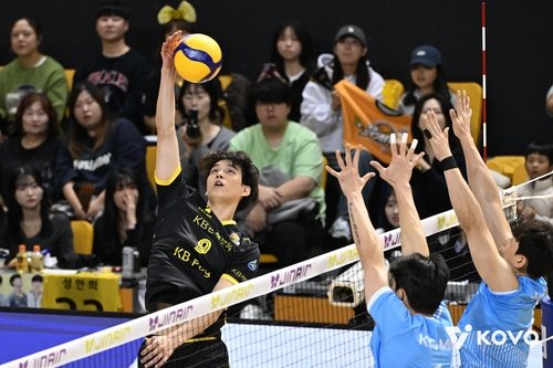 연타 공격하는 임성진 (출처=연합뉴스)