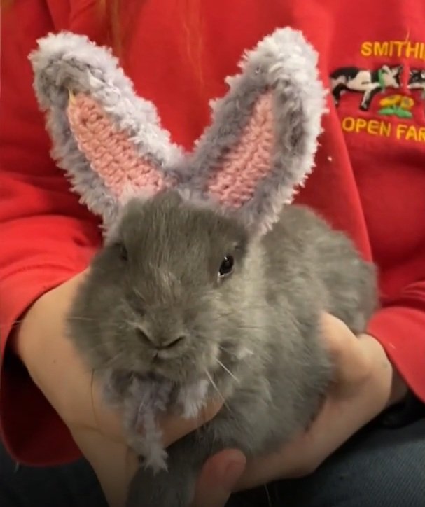 [서울=뉴시스](사진=피플)