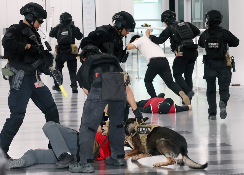 [부산=뉴시스] 하경민 기자 = APEC 정상회의 대비 김해국제공항 대테러 합동훈련이 열린 11일 부산 강서구 김해공항 국제선 터미널에서 경찰특공대가 경찰견을 동원해 무장한 인질 테러범을 진압하고 있다. 이번 훈련에는 한국공항공사, 부산지방항공청, 공군, 부산경찰청 등 13개 기관에서 100여 명이 참여한 가운데 APEC 정상회의 기간 중 공항에서 발생할 수 있는 테러상황에 대비해 불법드론 대응, 테러범 진압, 생화학 및 폭발물 처리에 대한 단계별 대응 절차 등을 종합적으로 점검했다. 2025.09.11. yulnetphoto@ne
