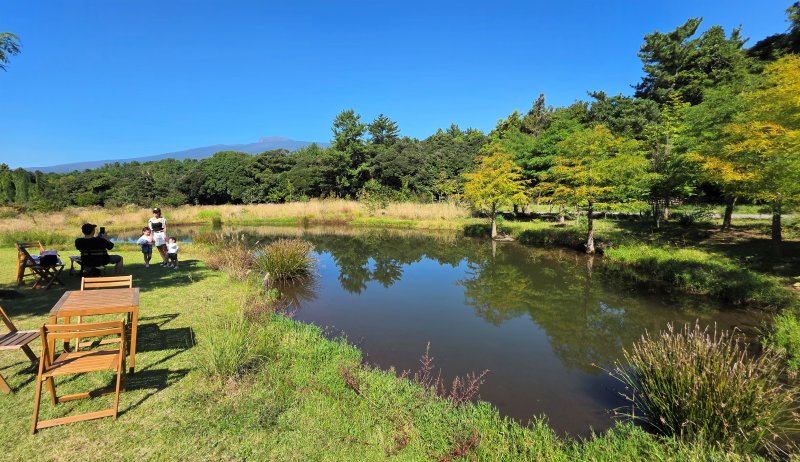 [제주=뉴시스] 임재영 기자 = 지난 11일 오전 제주 서귀포시 남원읍 신례리지역에 위치한 '담소요'. 마치 오름(작은화산체) 주변 들판의 풍경처럼 그래스와 사초류가 자리잡았고, 연못에는 반영이 비쳤다. 2025.10.27. ijy788@newsis.com