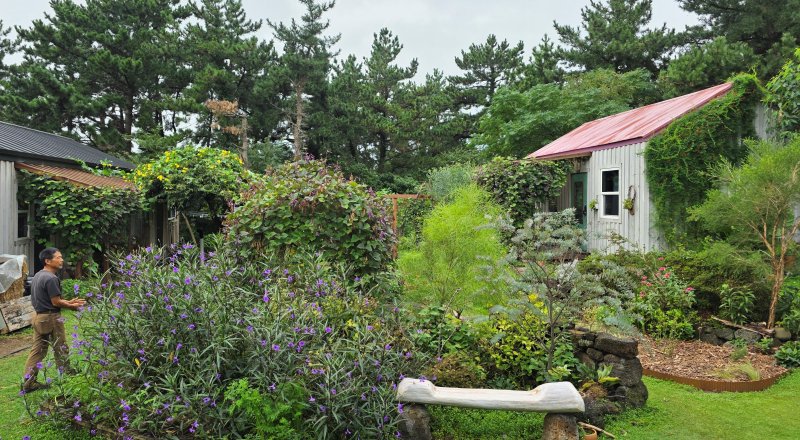 [제주=뉴시스] 임재영 기자 = 지난 16일 오전 제주시 한림읍 금능리에 위치한 도토리 캐빈은 채소, 유실수 등과 협력하는 동반식물로 '퍼머컬처' 정원을 이루고 있다. 2025.10.27. ijy788@newsis.com