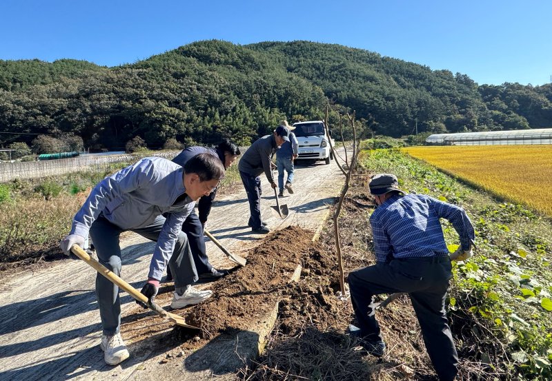 [진주=뉴시스]NH농협 진주시지부, 보라미봉사단 농촌경관가꾸기.(사진=농협진주시지부 제공).2025.10.27.photo@newsis.com *재판매 및 DB 금지