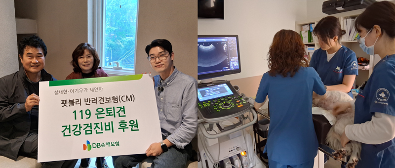 지난 9일 서울시 강남구 동물병원에서 설채현 수의사가 119은퇴견 다솔이에 대한 건강검진을 진행하고 기념촬영을 하고 있다. DB손해보험 제공