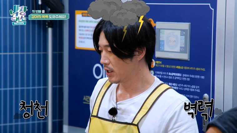 박준형, 30㎏ 사모예드 목욕 도전…장혁에 "나만 나쁜놈이냐" 급발진