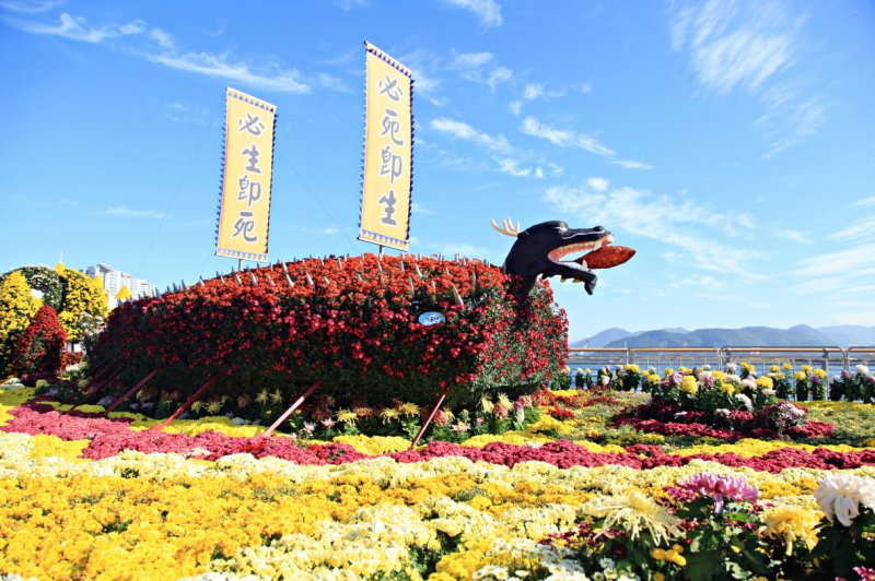 [창원=뉴시스] 강경국 기자 = 제24회 마산가고파국화축제. (사진=창원시청 제공). 2025.10.27. photo@newsis.com *재판매 및 DB 금지