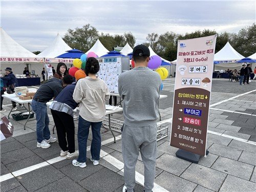 지난해 축제 모습 (출처=연합뉴스)